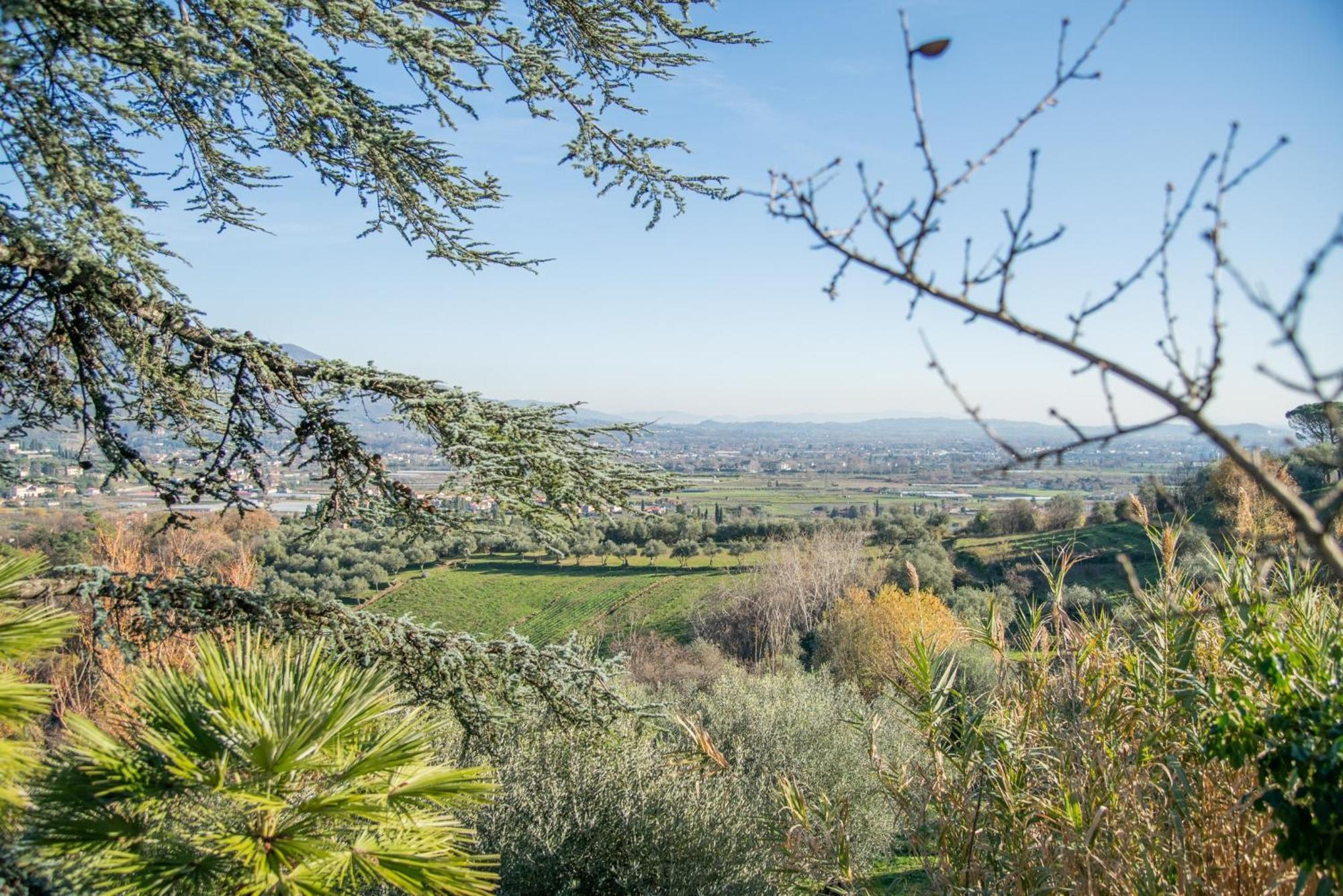 Villa Pedone Lucca Dış mekan fotoğraf